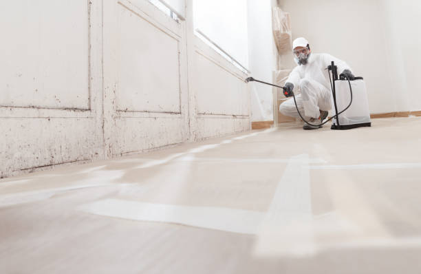 24/7 Emergency Crawl Space Mold Remediation experts in Hermitage, TN